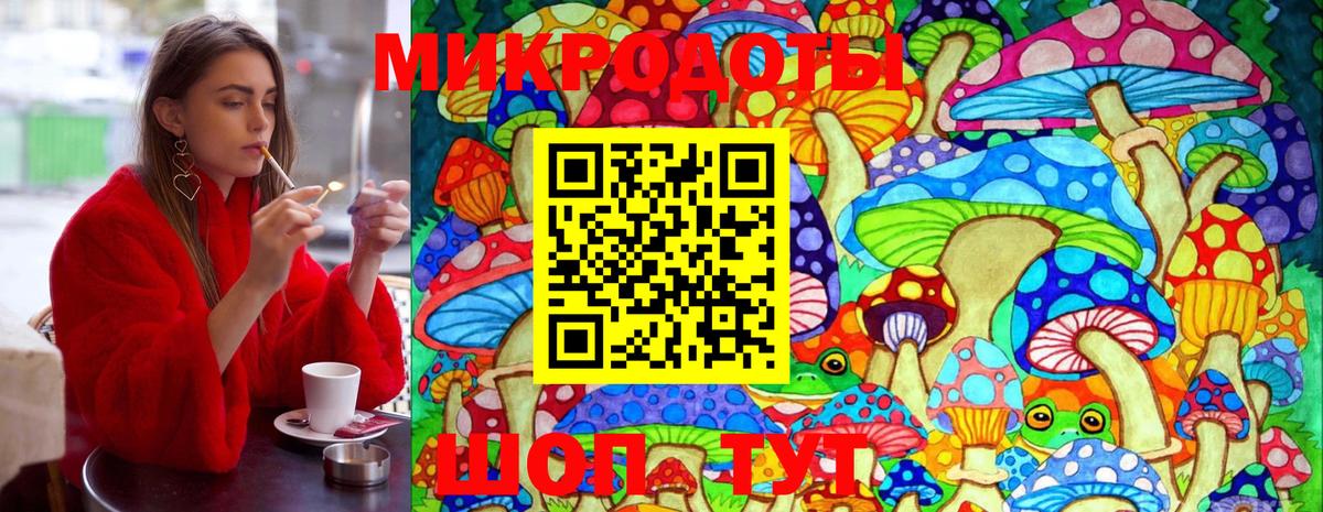 Галлюциногенные грибы GOLDEN TEACHER  купить наркоту  Мурманск  Вход с VPN 